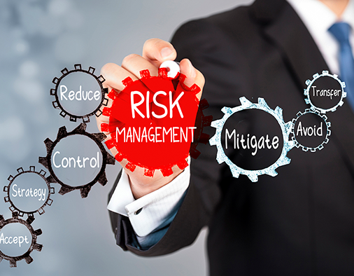 Risk Management Professional